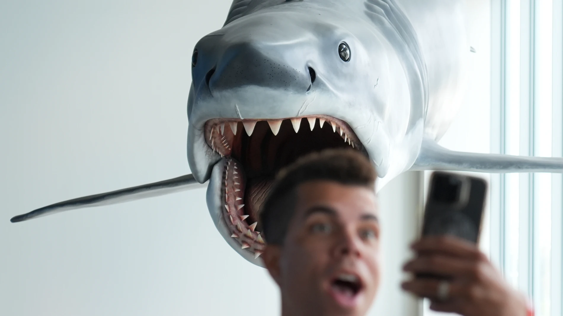 A visitor to the "Jaws: The Exhibition" press preview shoots a selfie underneath the sole surviving full-scale model of "Bruce," the shark from the 1975 film, on Wednesday, Sept. 10, 2025, at the Academy Museum of Motion Pictures in Los Angeles. (AP Photo/Chris Pizzello)