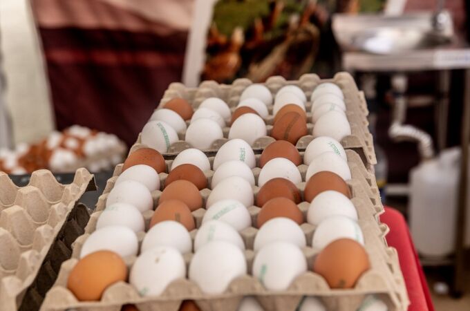La gripe aviar obliga a suspender la exportación de carnes y huevo en Huelva 