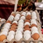 La gripe aviar obliga a suspender la exportación de carnes y huevo en Huelva 