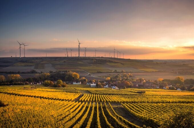 Más allá de la factura: Aletteo te guía en la optimización del consumo eléctrico de tu empresa