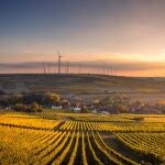 Más allá de la factura: Aletteo te guía en la optimización del consumo eléctrico de tu empresa