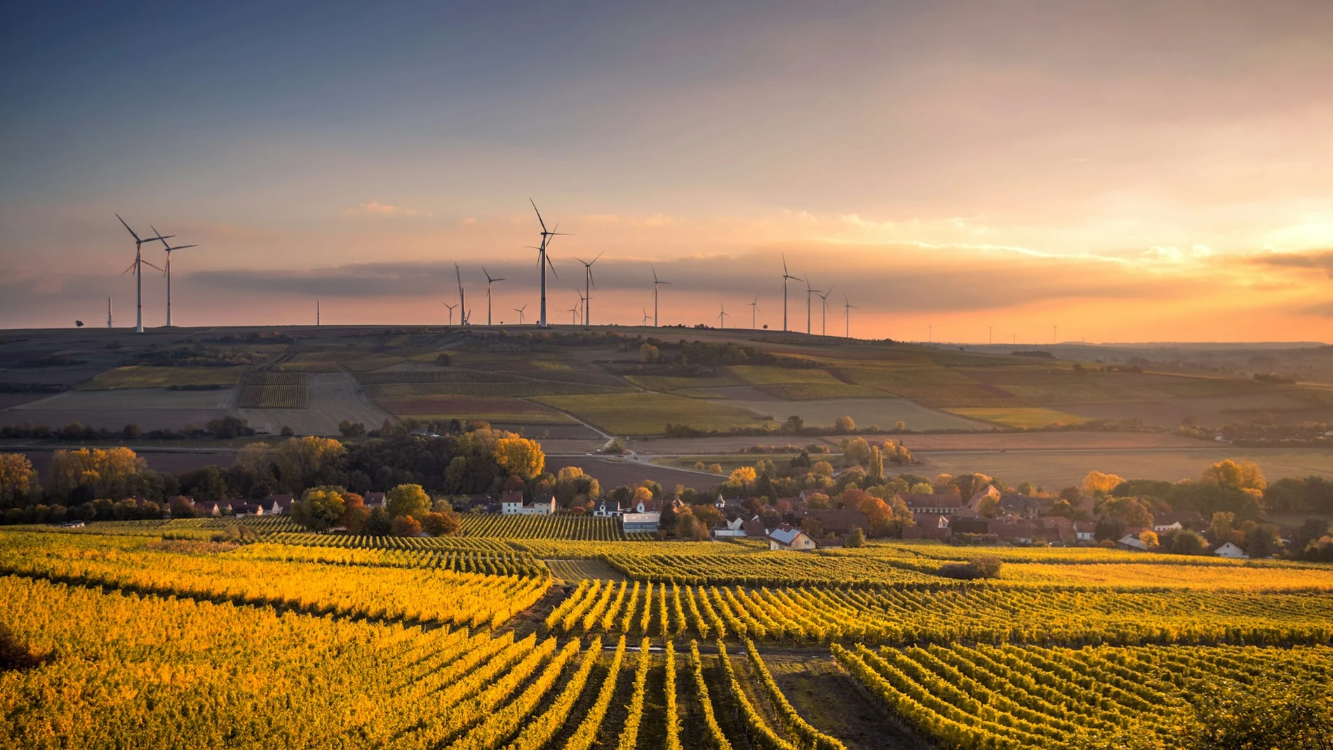 Más allá de la factura: Aletteo te guía en la optimización del consumo eléctrico de tu empresa