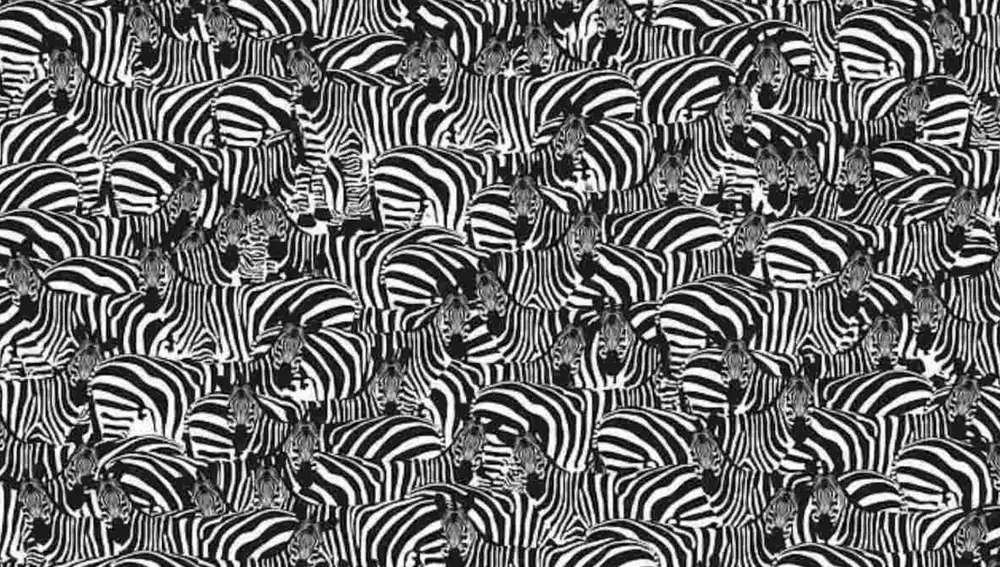 Imágen Ilusión óptica zebras y piano