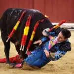 Una plaza agradecida