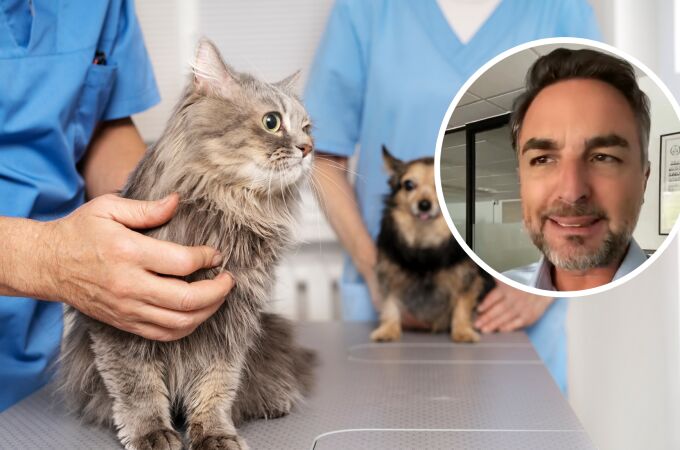 Xavi Abat, abogado: “Por este motivo sí podrías pedir una baja laboral para cuidar de tu mascota”