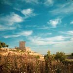 Paisaje de la provincia de Valladolid