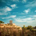 Paisaje de la provincia de Valladolid