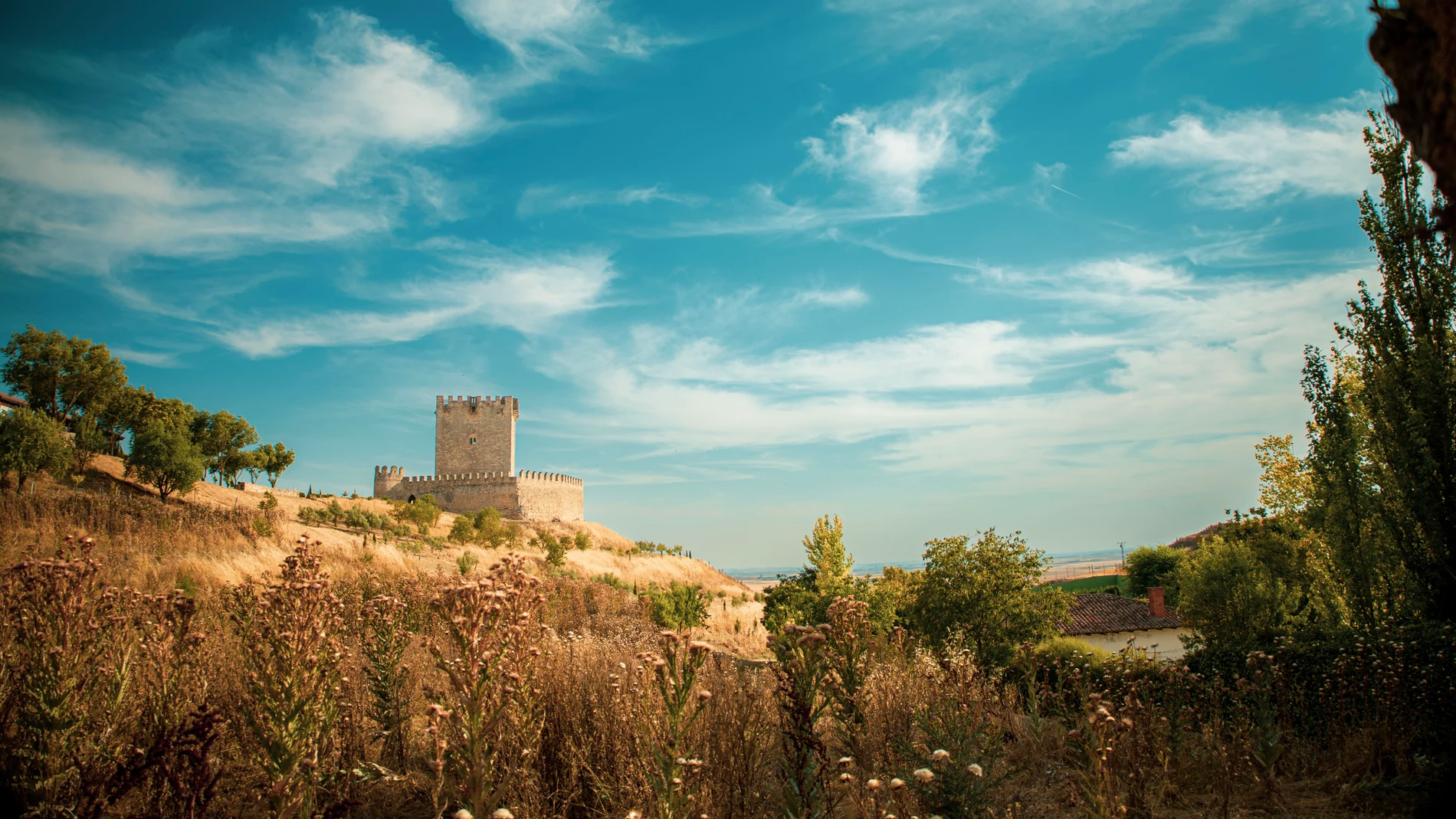 Paisaje de la provincia de Valladolid