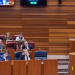La procuradora del PP, Rosa Estebam interviene en las Cortes