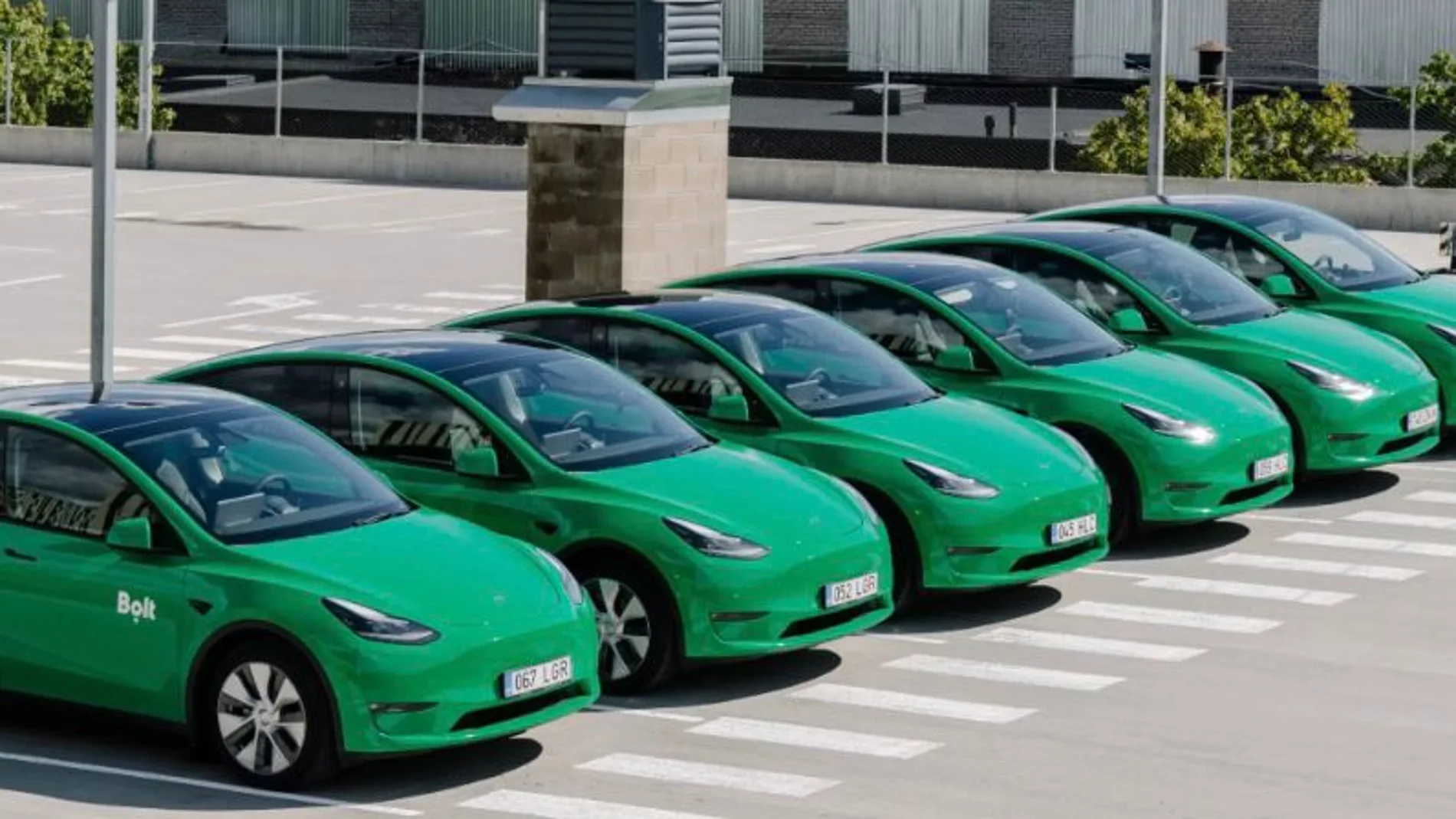 Coches Bolt