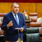 El consejero de Turismo y Andalucía Exterior, Arturo Bernal, durante su intervención en el Pleno del Parlamento de Andalucía