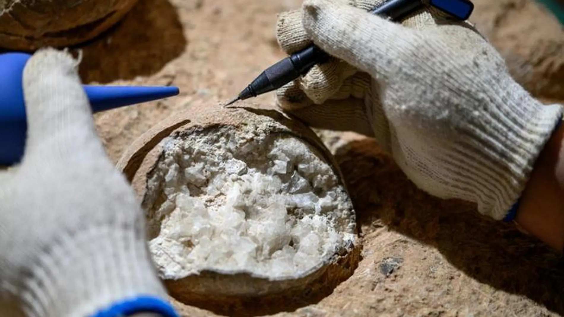 Fósil de huevo de dinosaurio muestreado para geocronología.
