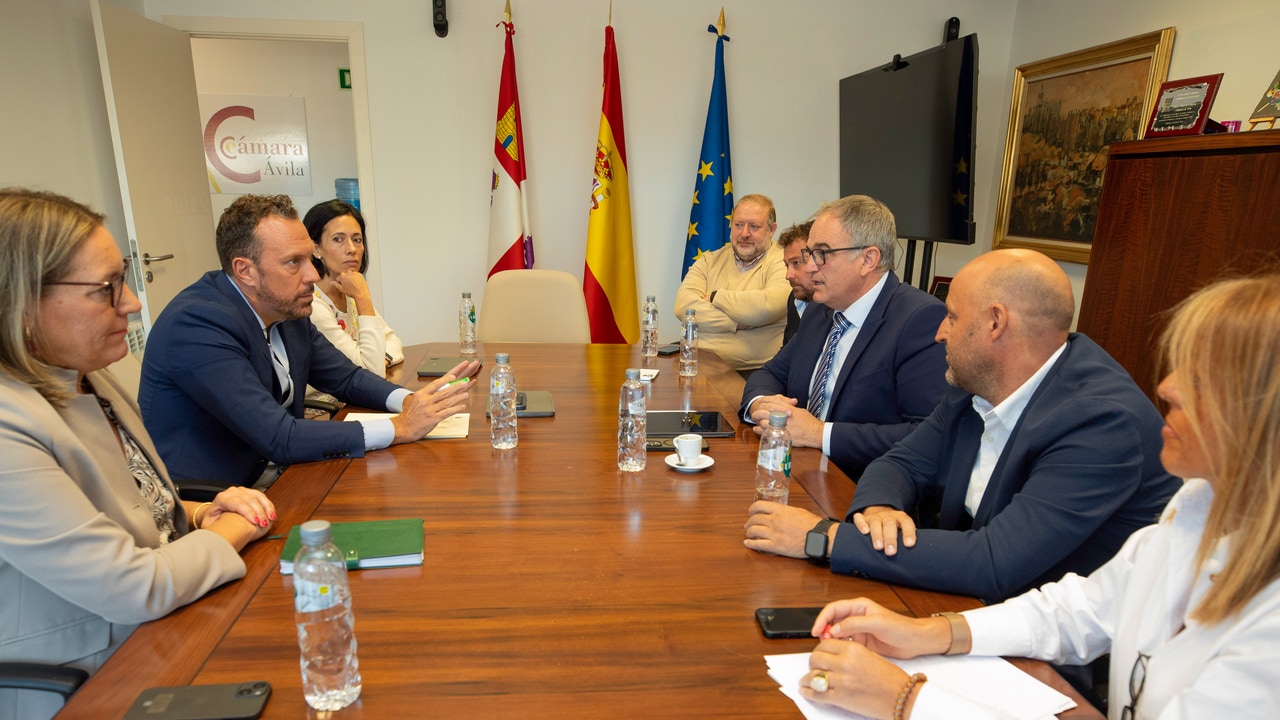 Héctor Palencia: "El ministro Puente solo llega puntual para atacar a Castilla y León"