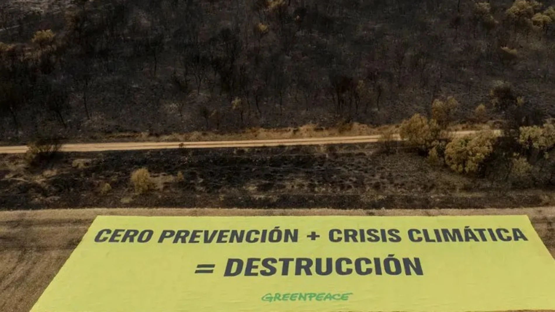 Greenpeace despliega una pancarta gigante en Palacios de Jamuz (León) reclamar que 2025 sea un punto de inflexión ante los grandes incendios forestales