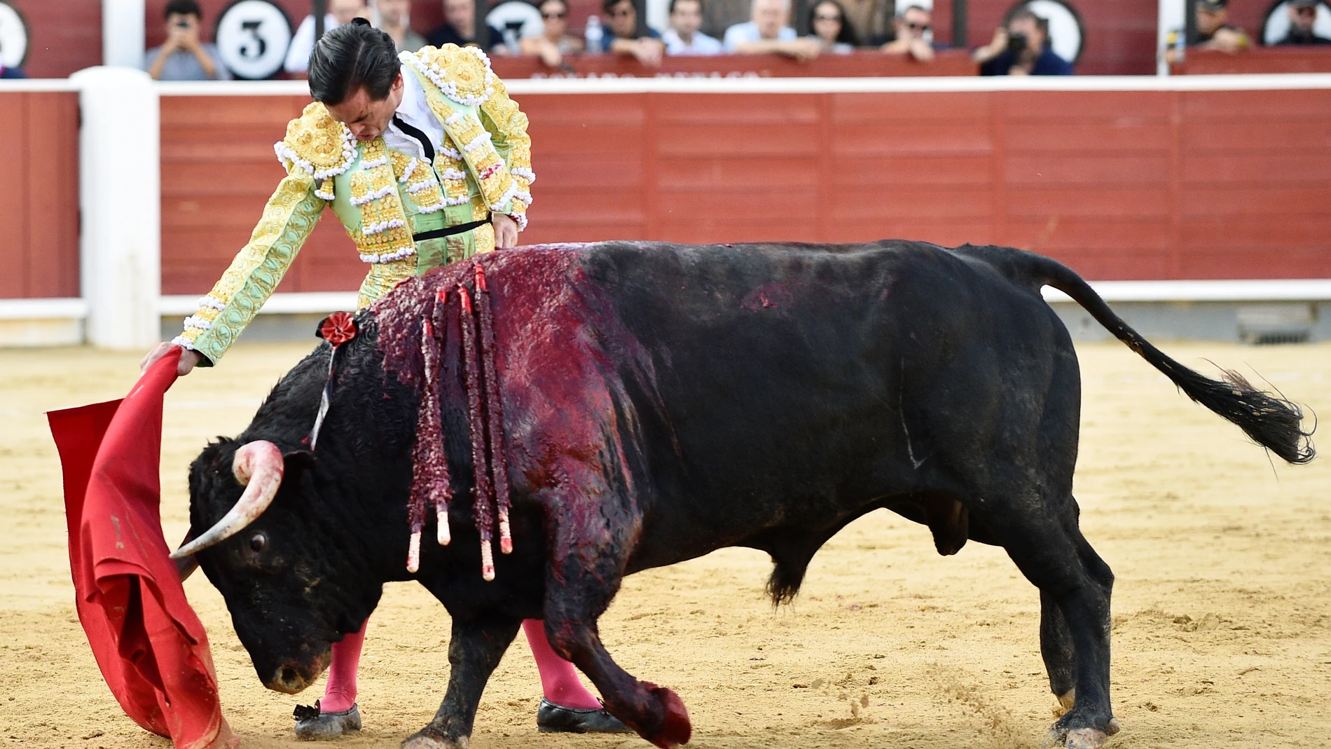 El toreo de Juan Ortega, lo más destacado en Albacete