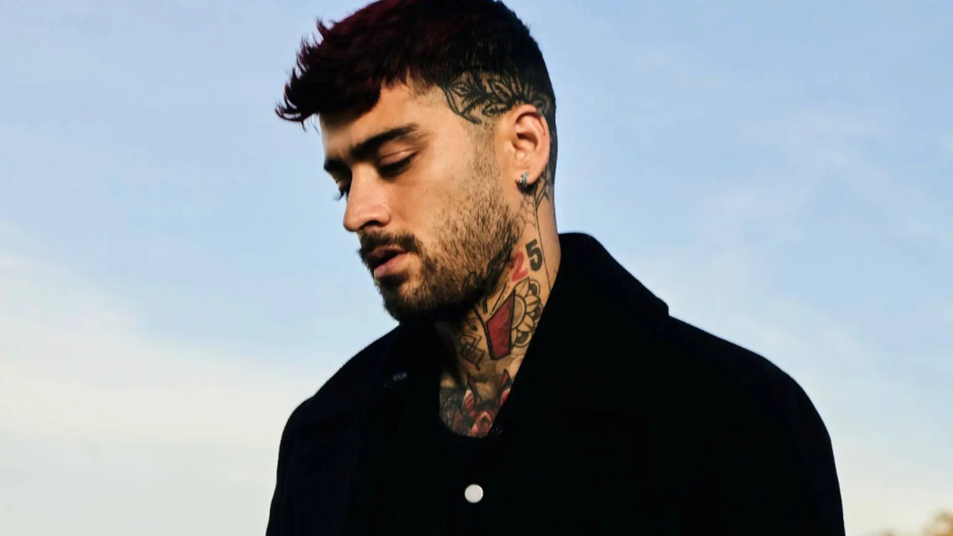 Ex componente de One Direction Zayn Malik
