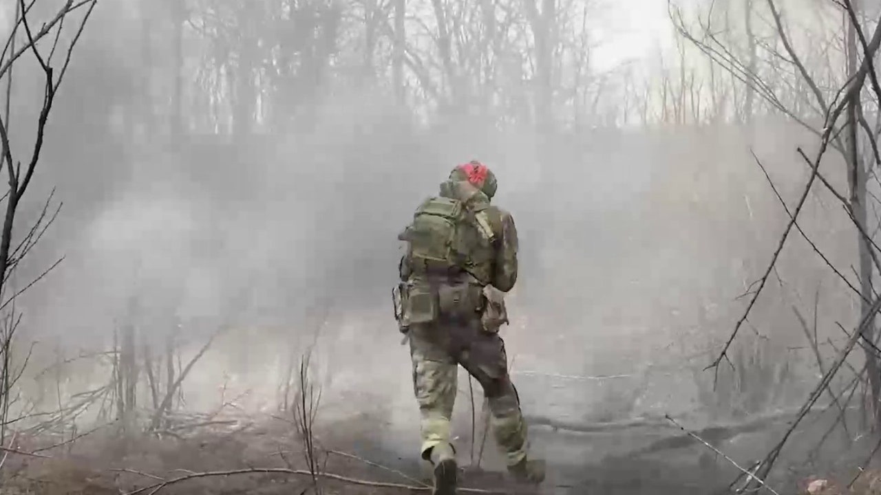 Ucrania recupera terreno en Sumi y libera otra localidad en la región de Donetsk