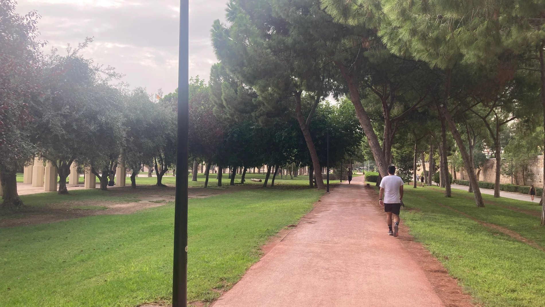 Inician las obras de instalación de alumbrado del circuito de running del Jardín del Túria REMITIDA / HANDOUT por AYUNTAMIENTO DE VALÈNCIA Fotografía remitida a medios de comunicación exclusivamente para ilustrar la noticia a la que hace referencia la imagen, y citando la procedencia de la imagen en la firma 13/09/2025
