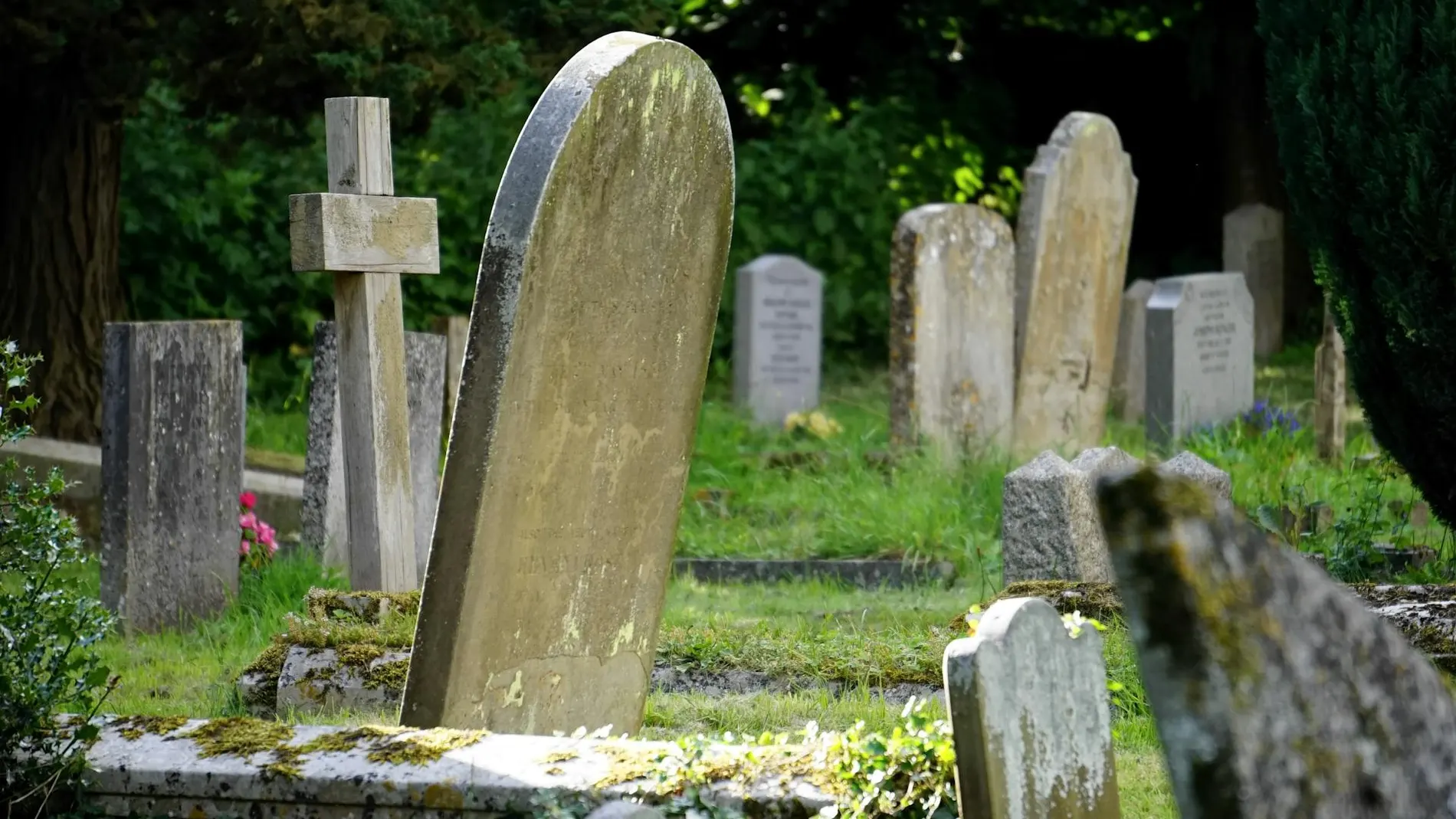Tumbas en un cementerio