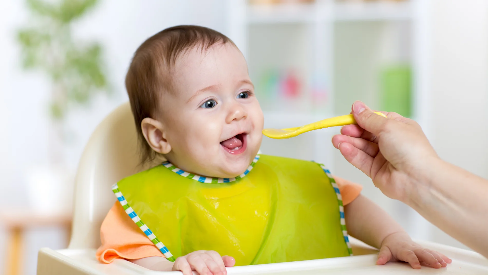 Si tus padres te daban de comer estos 10 platos cuando eras niño, probablemente creciste en una familia de clase media baja