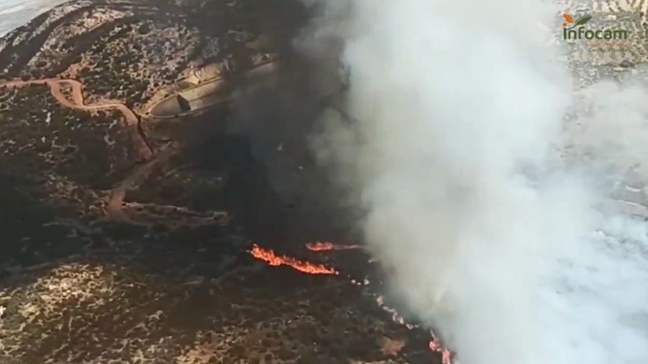 Más de 80 efectivos desplegados para controlar un incendio cerca del polígono industrial en Puertollano (Ciudad Real)