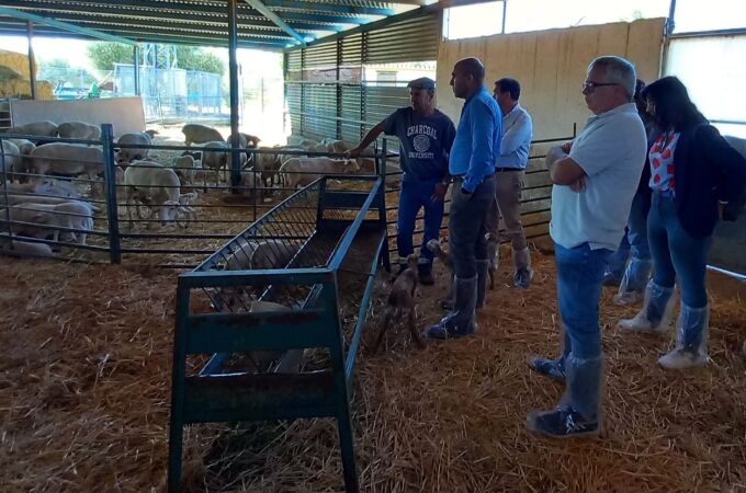 El delegado de Agricultura de Almería visita una explotación ganadera afectada por lengua azul.
