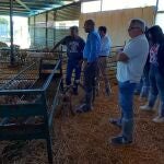 El delegado de Agricultura de Almería visita una explotación ganadera afectada por lengua azul.