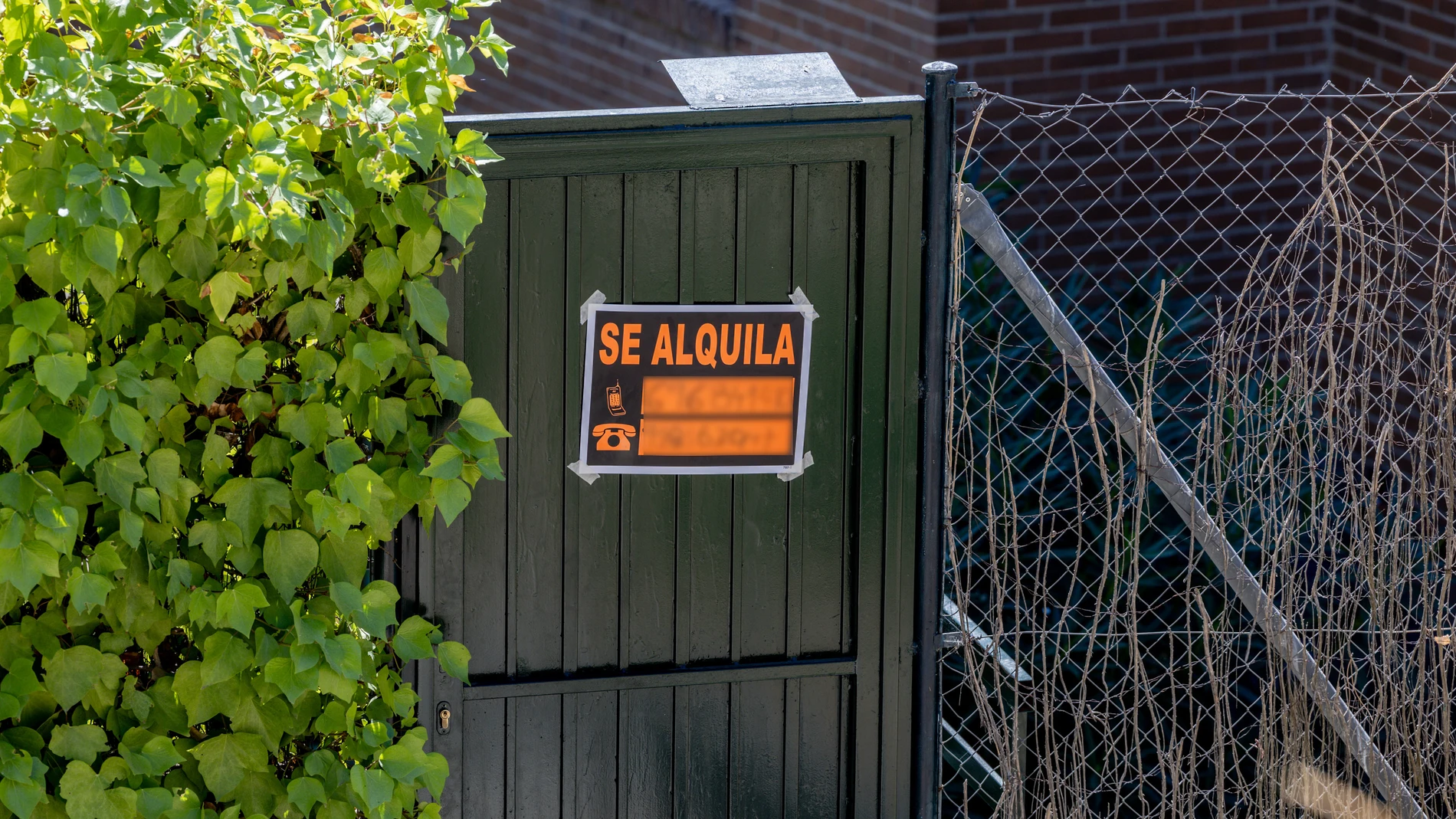 Un cartel que anuncia que se alquila una vivienda, a 16 de septiembre de 2025, en Madrid (España). El precio del alquiler subió un 8% en agosto en Madrid con respecto al mismo mes del año anterior y se sitúa en 21,64 euros por metro cuadrado, según los datos del Índice Inmobiliario del portal Fotocasa. 16 SEPTIEMBRE 2025;PIXELADA Ricardo Rubio / Europa Press 16/09/2025
