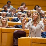 Alicia García ; Portavoz del Grupo Parlamentario Popular en el Senado. David Jar