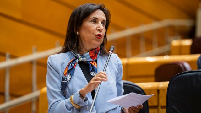 Margarita Robles en el pleno del Senado. David Jar