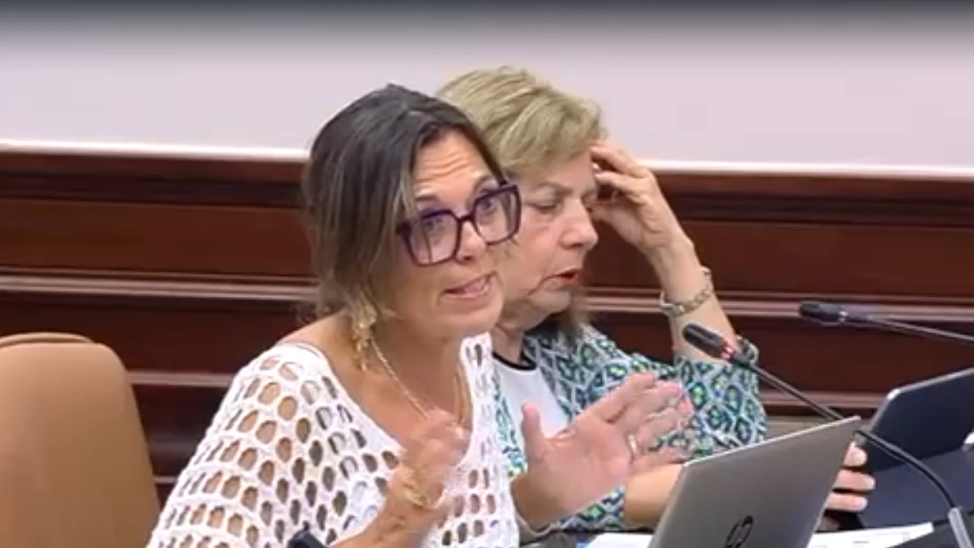 Mila Marcos interviene en la comisión mixta para la UE