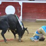 João d'Alva, Fernando Adrián, José Luis Triviño: así es la frenética actividad de la enfermería taurina en septiembre