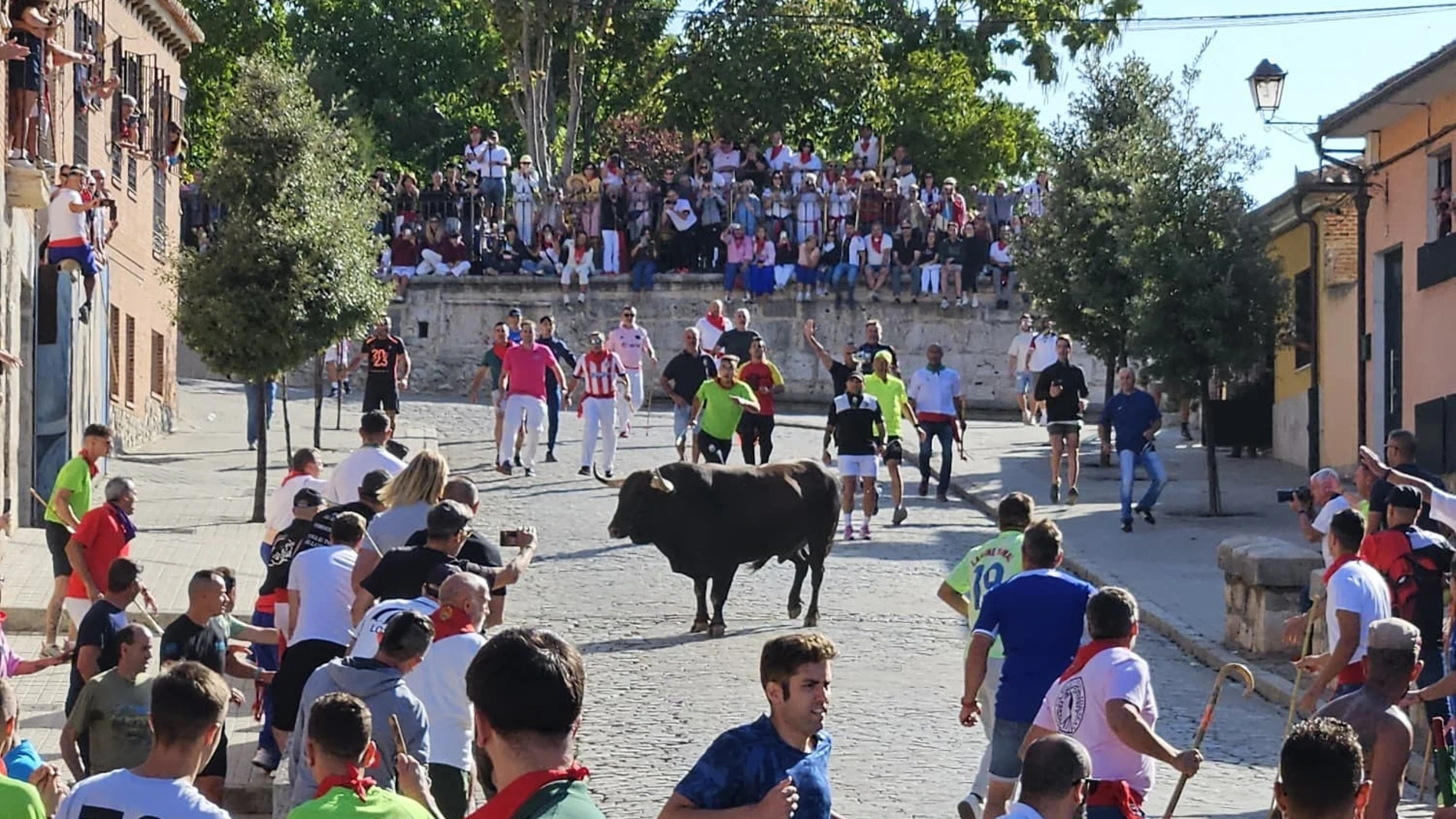Saltavallas' protagoniza un Toro de la Vega bajo la vigilancia, por vez primera, de un dron para aumentar la seguridad . REMITIDA / HANDOUT por AYUNT. DE TORDESILLAS Fotografía remitida a medios de comunicación exclusivamente para ilustrar la noticia a la que hace referencia la imagen, y citando la procedencia de la imagen en la firma 16/09/2025