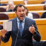 Oscar Puente en un Pleno del Senado. David Jar