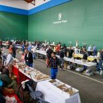 Coleccionismo: el gran mercado de minerales llega a Colmenar Viejo