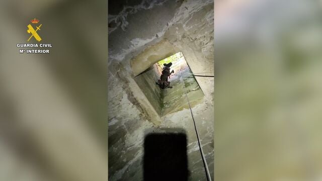 La Guardia Civil de Teruel halla a un perro en un aljibe a ocho metros de profundidad en Calanda (Teruel)
