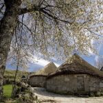 Así son la tradicionales pallozas lucenses: testigos vivos de una forma de vida ancestral