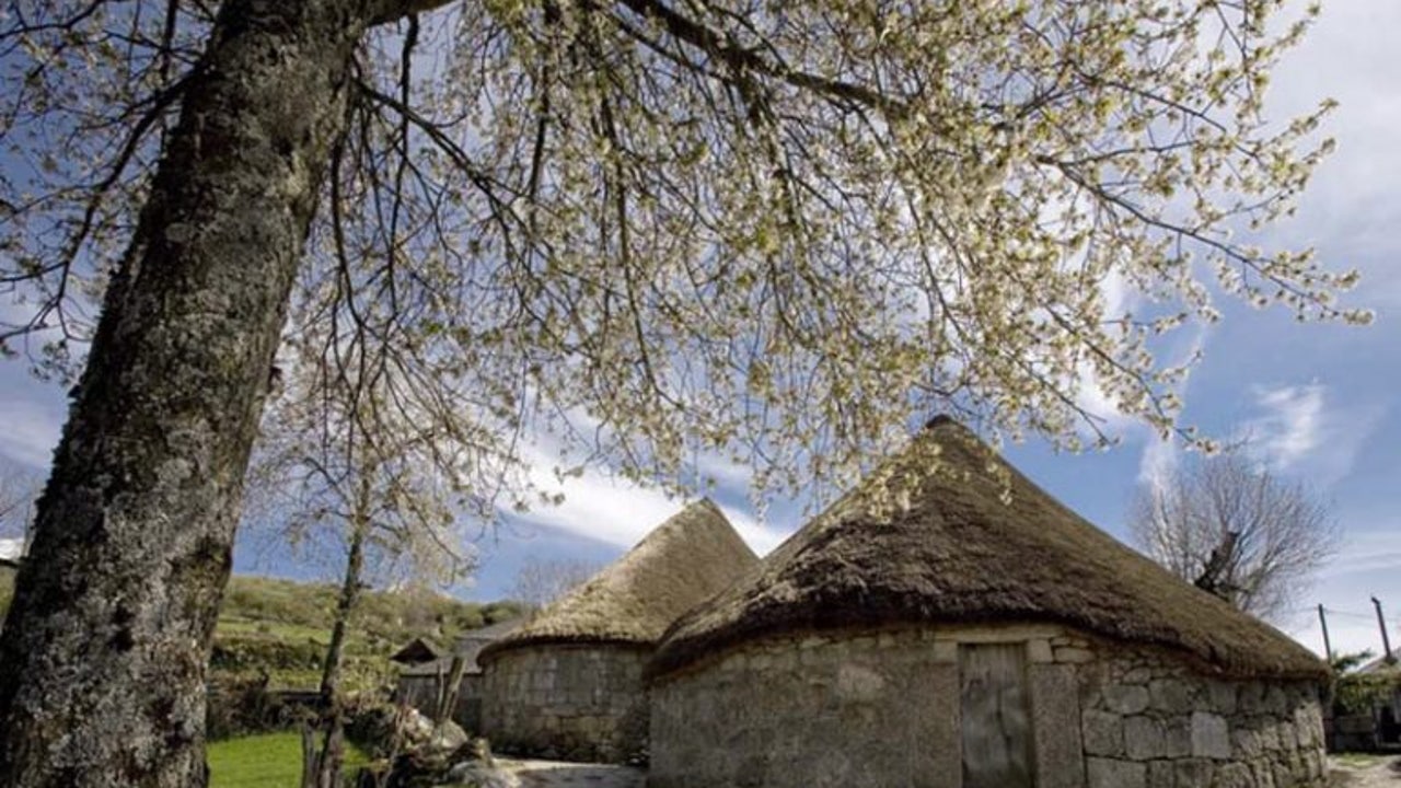 Así son la tradicionales pallozas lucenses: testigos vivos de una forma de vida ancestral