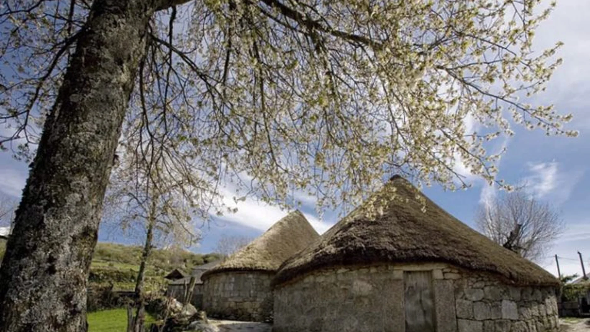 Así son la tradicionales pallozas lucenses: testigos vivos de una forma de vida ancestral