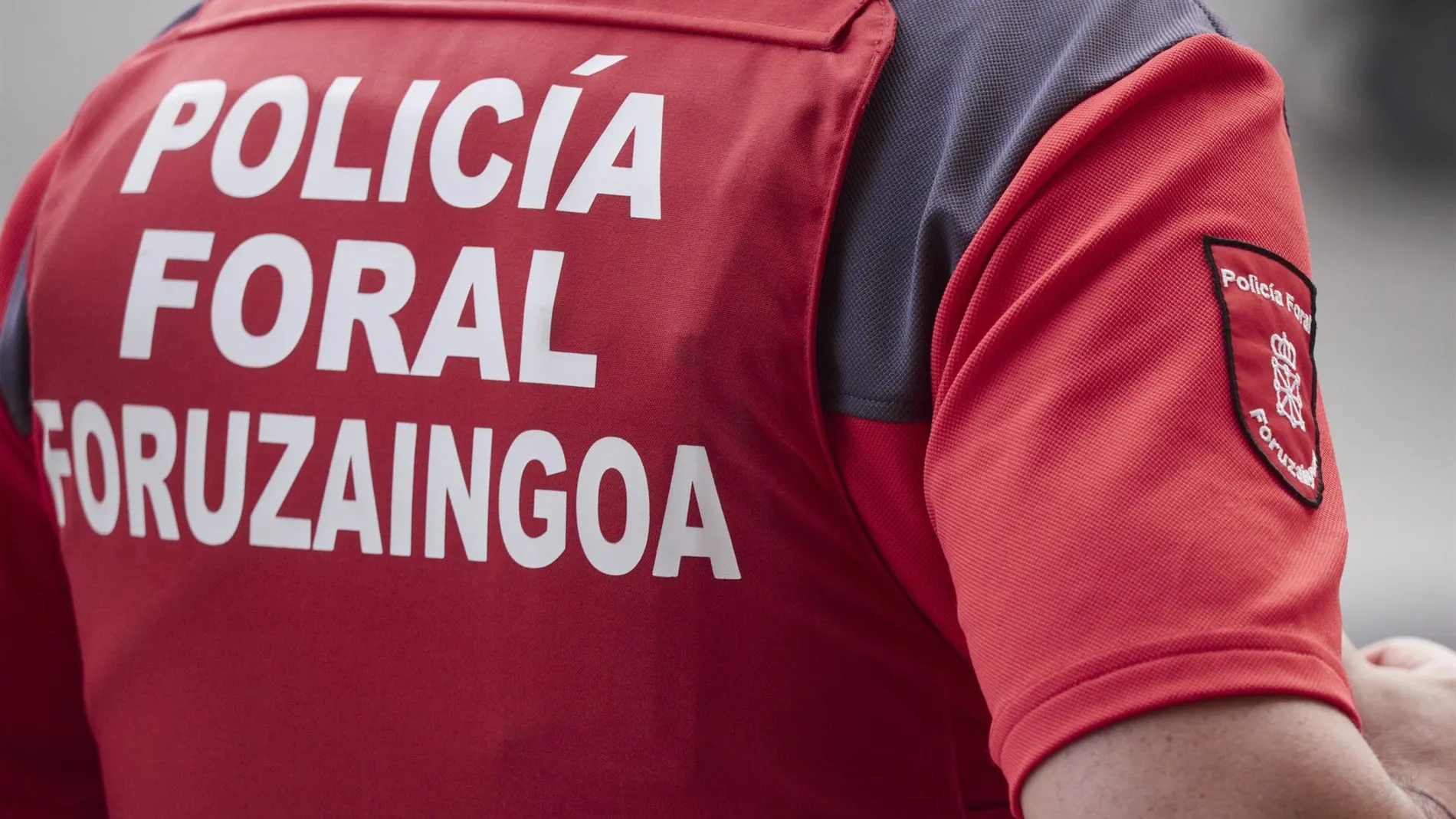 Sucesos.- Investigados dos varones por ahorcar y enterrar un perro en una finca de Tierra Estella (Navarra)