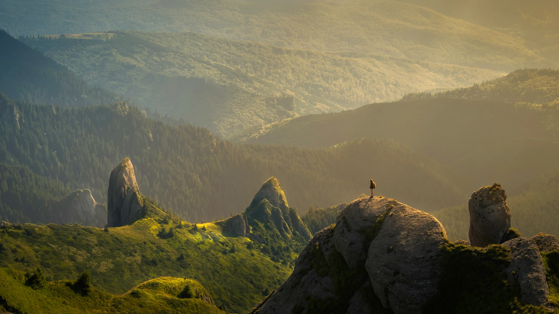 Qué significa "carpe diem" y cómo aplicar esta frase en tu vida diaria