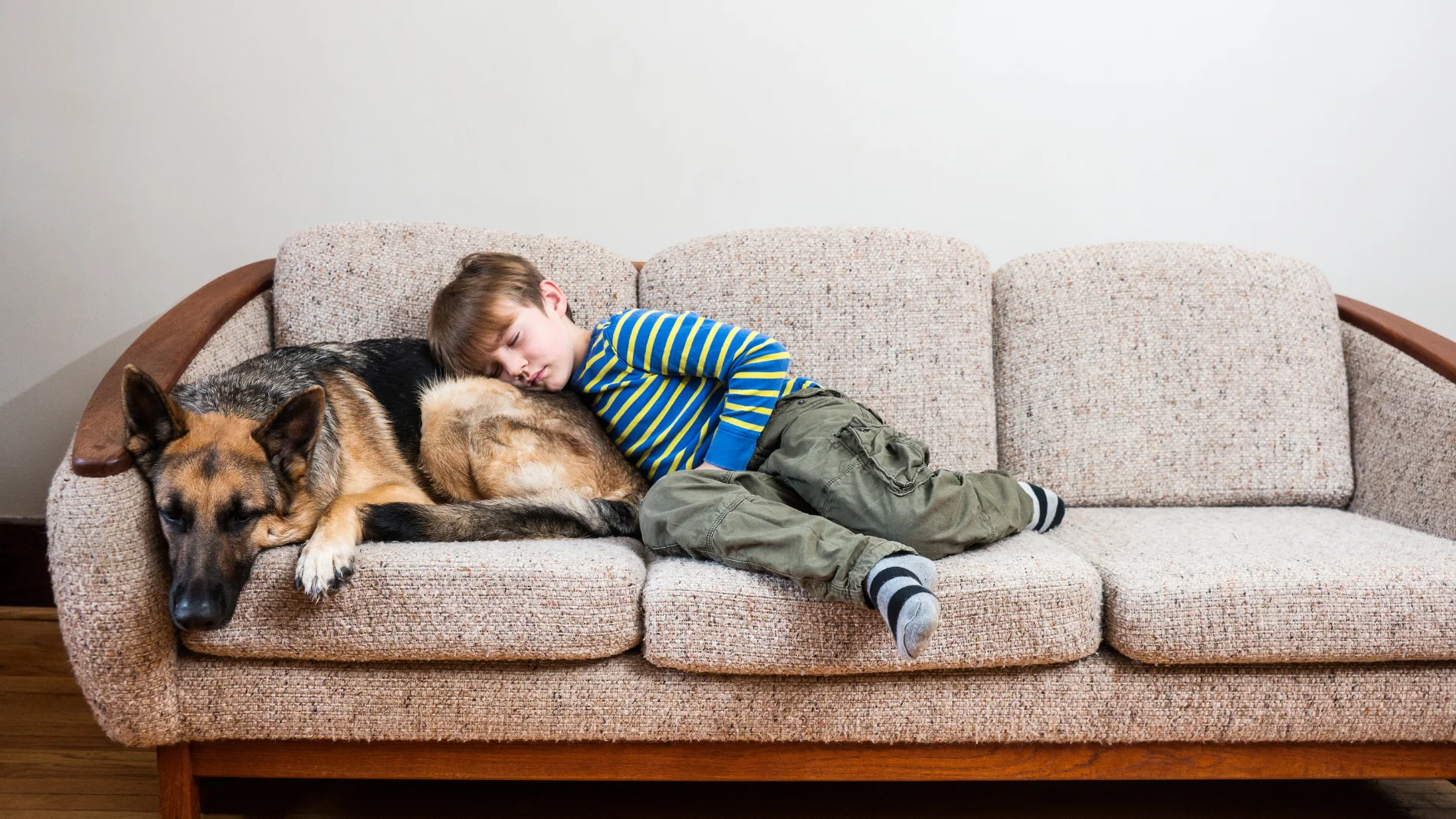¿Duermes con tu mascota en la cama? Estas son las 7 características que revela la psicología sobre ti