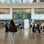 El Ayuntamiento de Manises insta al Gobierno a paralizar la ampliaci&oacute;n del aeropuerto y reclama "transparencia" a Aena