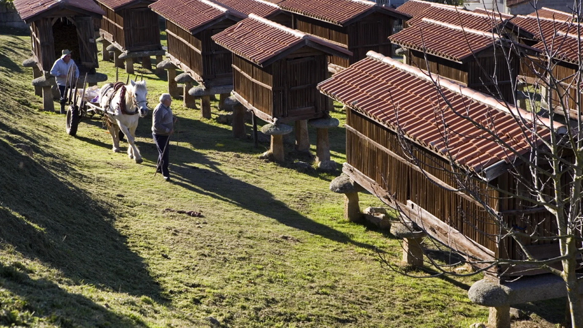 El conjunto de hórreos más grande de Galicia se encuentra en este pequeño lugar de Ourense