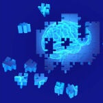 Las piezas del puzle del alzh&eacute;imer empiezan a encajar