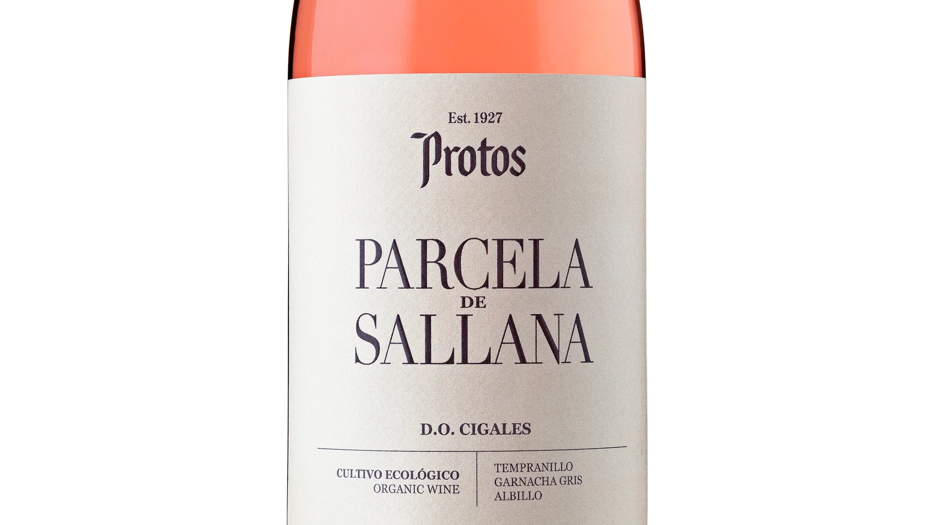 Parcela de Sallana 2024