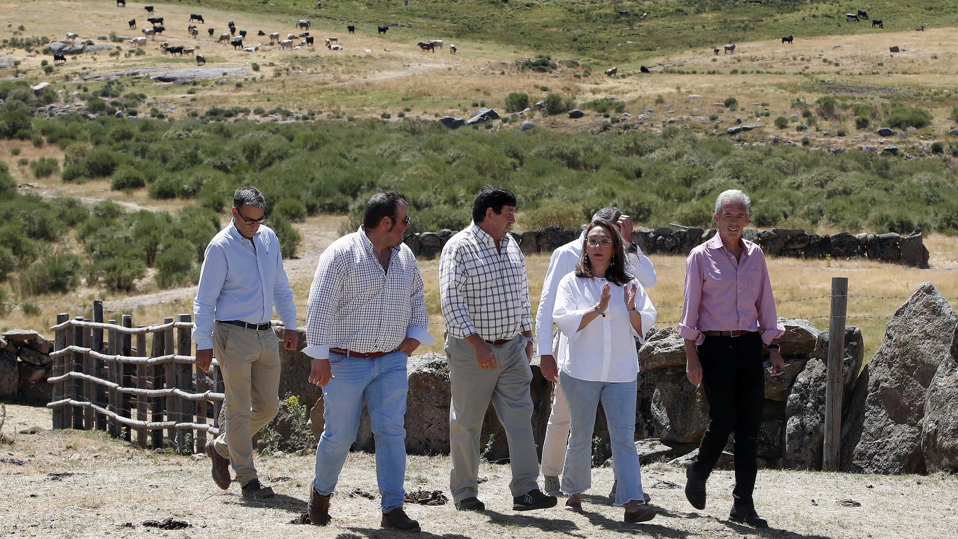La consejera María González Corral visita una explotación ganadera de Ávila