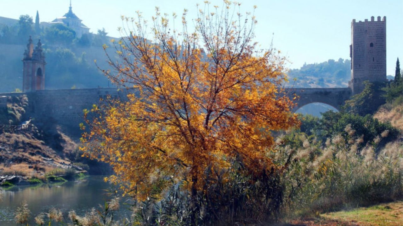 El otoño llega con un bajonazo térmico en Castilla-La Mancha: hasta 8 °C de mínima en algunas provincias