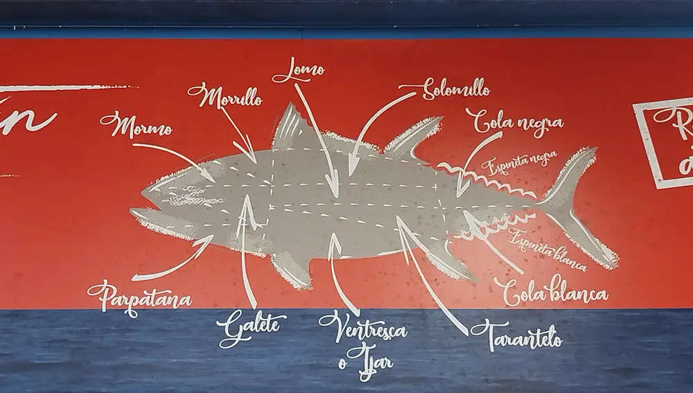 Dibujo de las diferentes partes que se pueden obtener de un atún tras el despiece