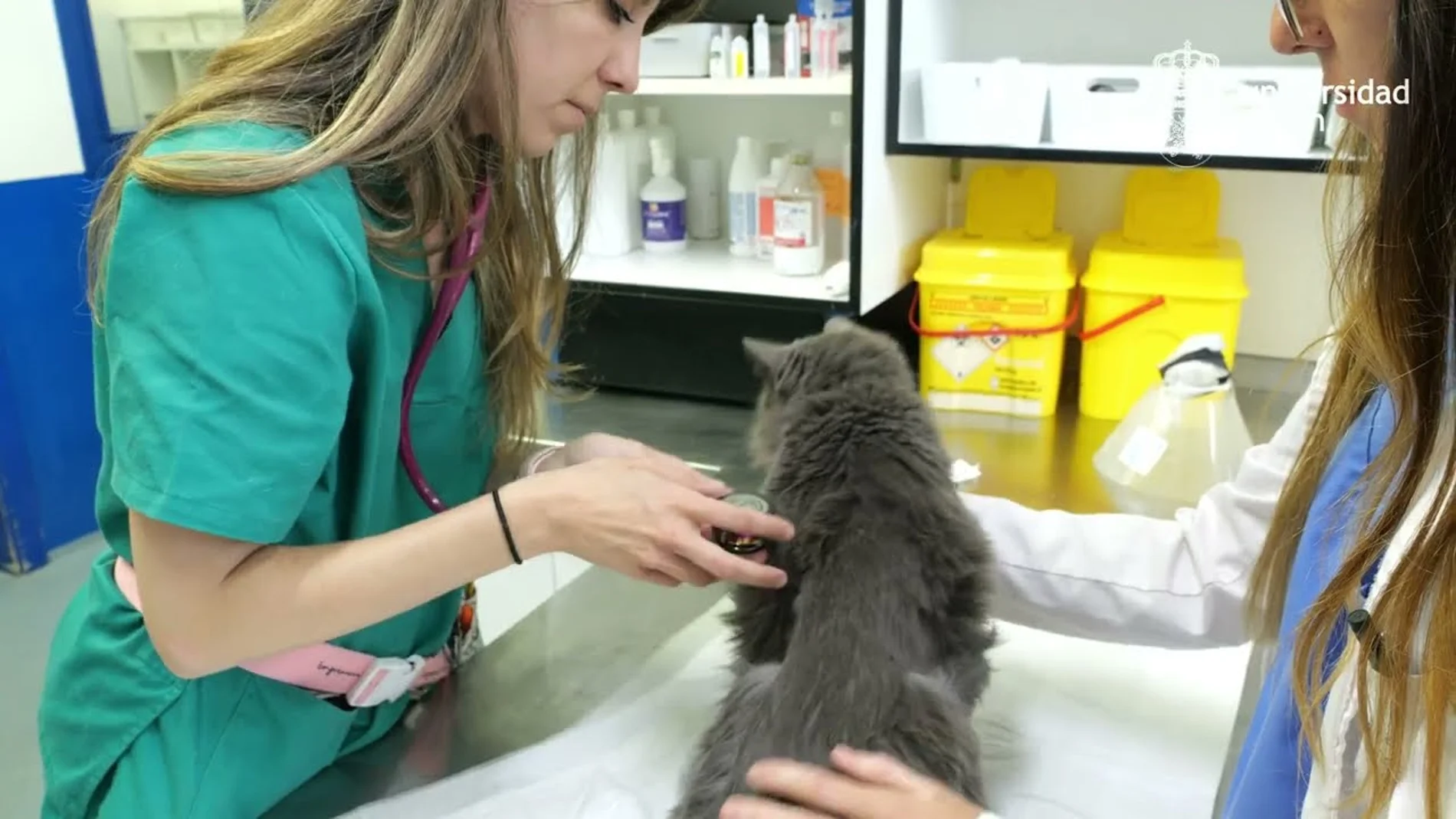 Hospital veterinario de la Universidad de León